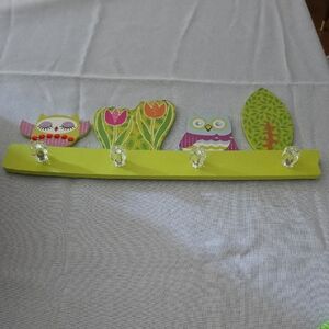 Colorful Owl and Flower Wall Hook